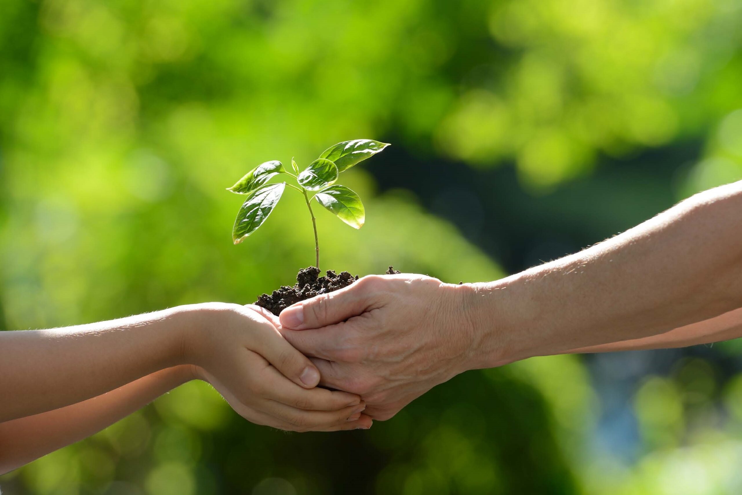 ENVIRONMENTAL & SOCIAL DEVELOPMENT - RHC